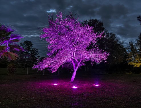 Luxury estate landscape lighting Highland Park